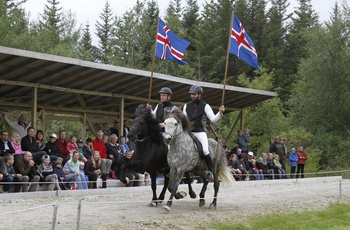 Fridheimar Hesteshow