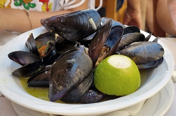 Friske muslinger - Grækenland