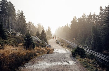 Foto: Vandretur tidlig morgen på Goetheweg ved foden af ​​Brocken i Harzen National Park - © FDM Travel, Shutterstock
