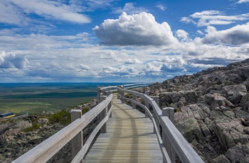 Gangbro på Levitunturi tæt på Kittila og Levi i Lapland - det nordlige Finland
