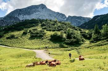 Foto: Vandretur på Kuhweide ved Garmisch-Partenkirchen - © GNTB, Jan Overgaard