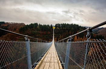 Geierlay Hängeseilbrücke tæt på Mosel
