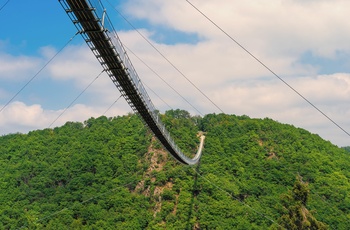 Geierlay Hängeseilbrücke tæt på Mosel