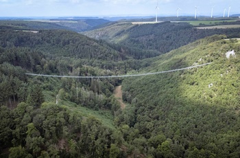 Geierlay Hängeseilbrücke tæt på Mosel