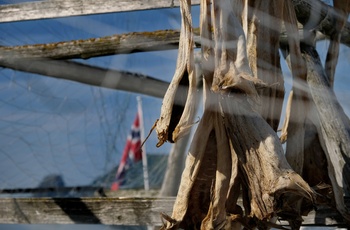 Fisk hænger tørre i den lille fiskerby Gjesvær i det nordligste Norge