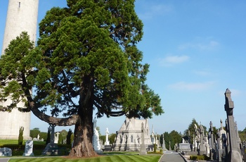 Glasnevin Cemetery, Dublin 