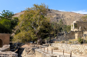 Gortys arkæologiske område - Kreta