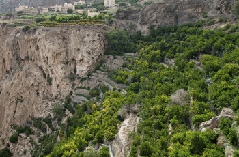 Grønne terasser på Jebel Akhdar - Oman