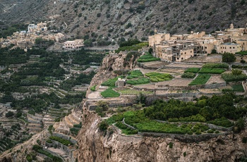 Grønne terasser og lille bjerglandsby på Jebel Akhdar - Oman