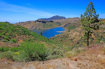 Presa de las Ninas på Gran Canaria