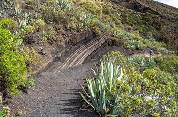 Vandring i vulkankrateret  Caldera de Bandama - Gran Canaria