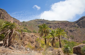 Vulkankrateret Caldera de Bandama på Gran Canaria, Spanien