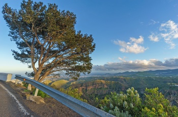 Vej langs vulkankrateret Caldera de Bandama på Gran Canaria, Spanien