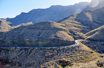 Vej gennem Tamadaba naturpark på Gran Canaria, Spanien