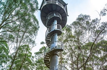 Spiraltårnet i Great Otway National Park - Victoria i Australien