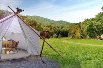 Glamping i Great Smoky Mountains, Safari