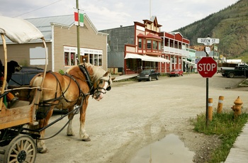 Guldgraverbyen Dawson City