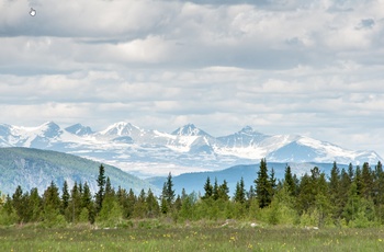 Peer Gynt Vejen. Udsigt mod Rondane i Norge