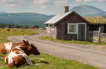 Peer Gynt vejen med udsigt til Heidalsmuen i Norge