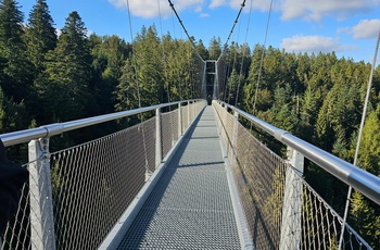 Hængebroen WildLine i Schwarzwald