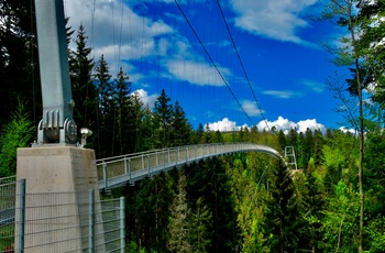 Hængebroen WildLine i Schwarzwald