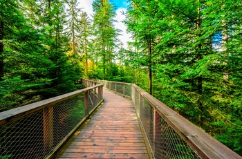 Hængebroen WildLine i Schwarzwald