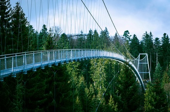 Hængebroen WildLine i Schwarzwald
