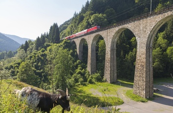 Höllsteig-Ravnnaviadukt © Hochschwarzwald Tourismus GmbH