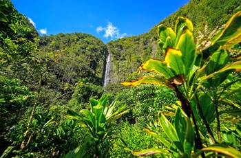 Vandfaldet Waimoku Falls i Haleakalā National Park på Maui - Hawaii