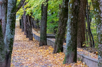 Point Pleasant Park, Halifax i Canada