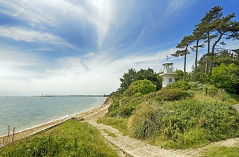 New Forest Nationalpark i Hampshire, England