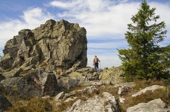 Vandretur i Harzen, Tyskland