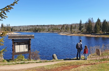 Vandretur i Harzen, Tyskland