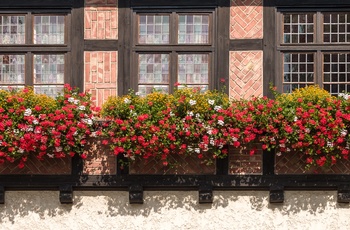 Wernigerode, Harzen