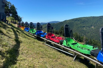 Sommer-kælkebanen Hasenhorn Rodelbahn ved Todtnau i Schwarzwald