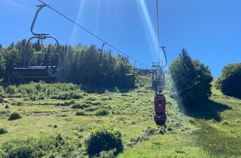 Sommer-kælkebanen Hasenhorn Rodelbahn ved Todtnau i Schwarzwald