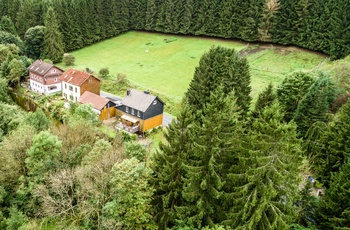 Skov og huse nær St. Andreasberg i Harzen i Tyskland