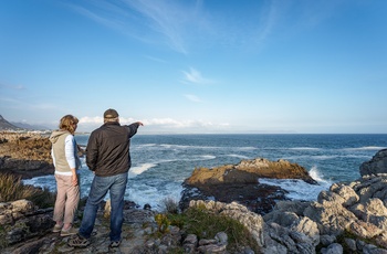 Kyststrækninge Cliff Path fra Hermanus i Sydafrika