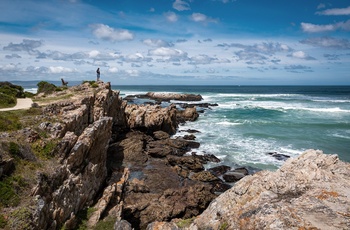 Kyststrækningen Cliff Path fra Hermanus i Sydafrika
