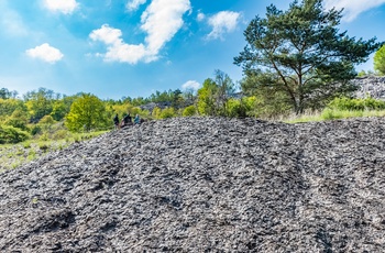 Der findes stadig fossiler i olieskifer ved Messel Pit Fossil Site i Hessen - Midttyskland