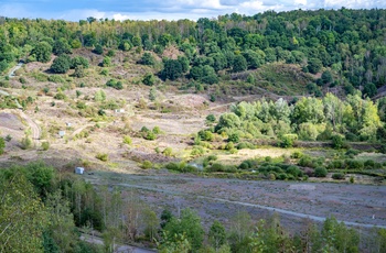 Messel Pit Fossil Site i Hessen - Midttyskland