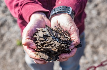 Der findes stadig fossiler i olieskifer ved Messel Pit Fossil Site i Hessen - Midttyskland