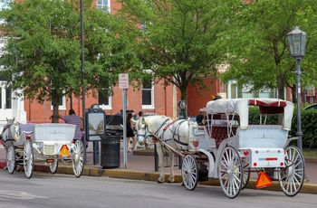 Hestevogne i Galveston