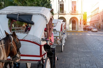 Hestevogne på Plaza Grande i Merida - Mexico