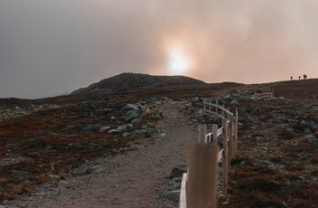 Hikere på vej til toppen af Saana-bjerget i det nordlige Finland