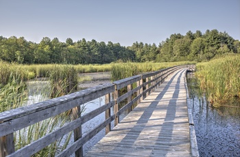 Board Walk ved Hildene Lincoln Family Home i Green Moutains, Vermont