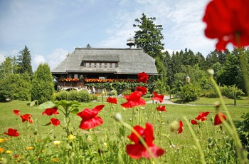 Hjemstavnsmuseum Hüsli i Grafenhausen © Hochschwarzwald Tourismus GmbH.jpg