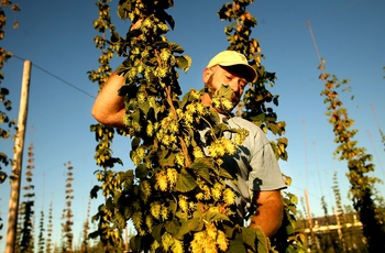 Hoppe til Sierra Nevada Brewing Co