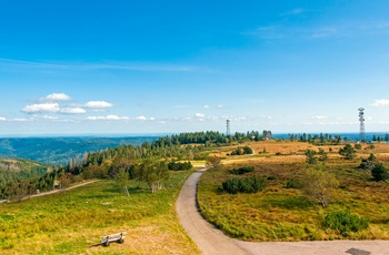 Hornisgrinde i Schwarzwald