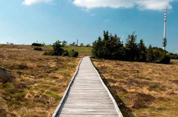 Hornisgrinde i Schwarzwald